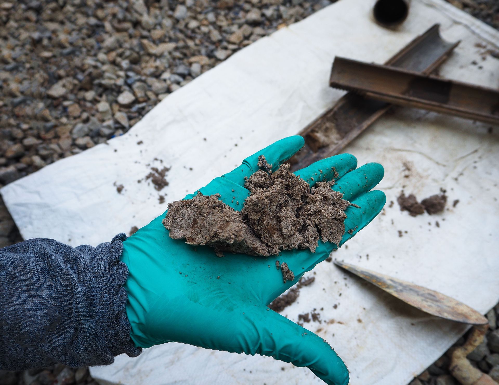 Gloved hand holding a clump of dirt beside a white tray with trowels on gravel.