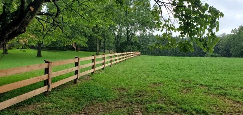 A wooden fence surrounds a grassy field with trees in the background.