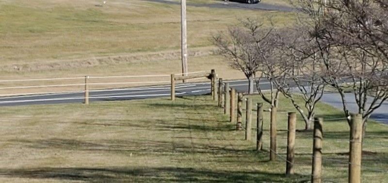 A row of wooden posts along the side of a road.
