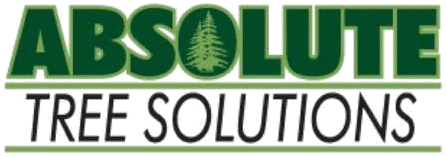 Absolute Tree Solutions - Logo