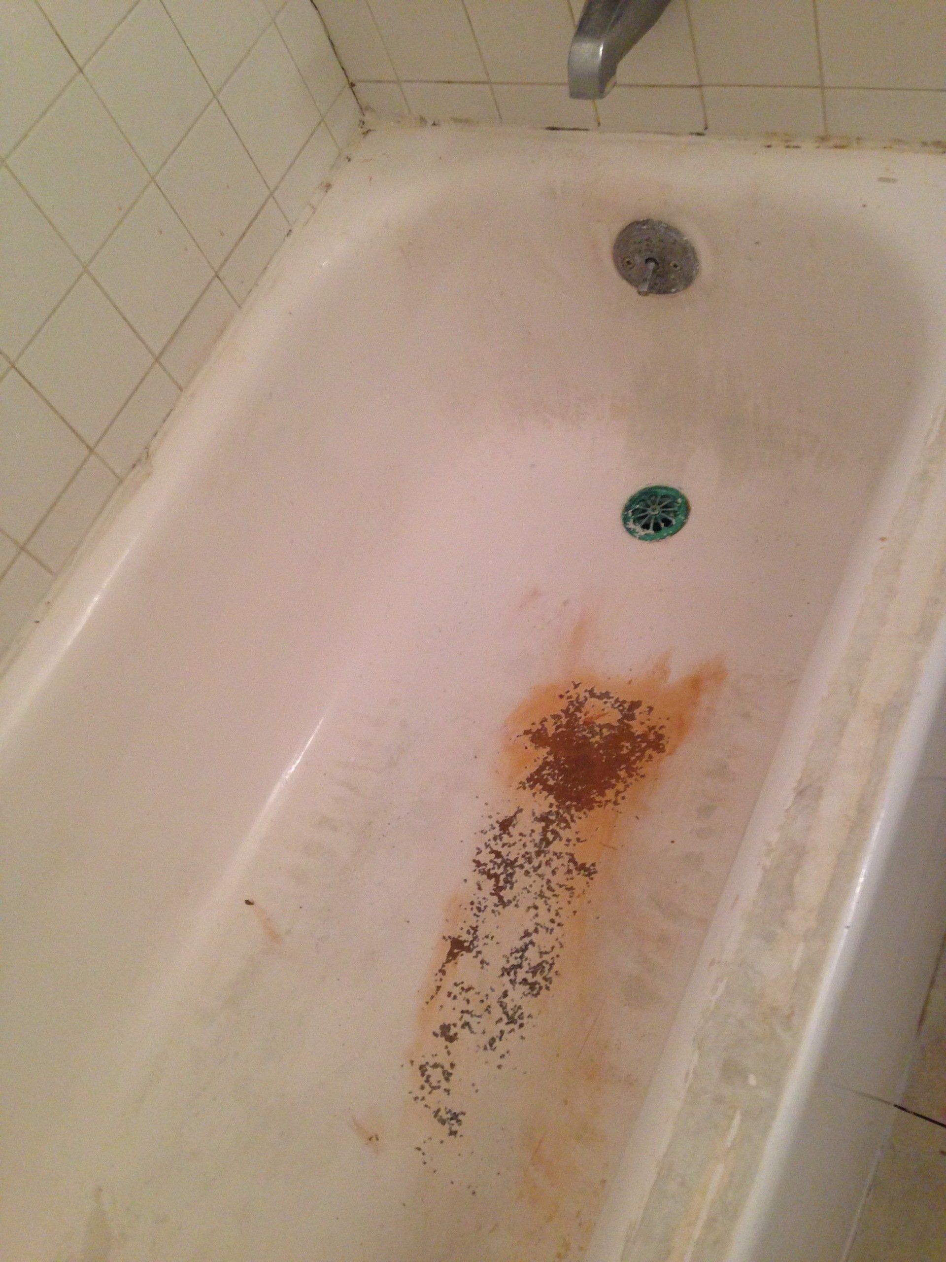 Bathtub Before