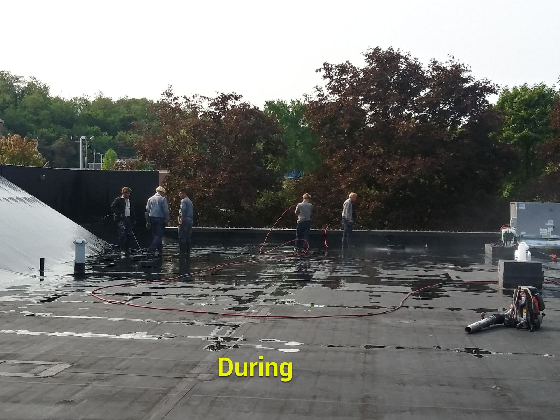 People working on a wet, dark flat roof. Trees in the background.