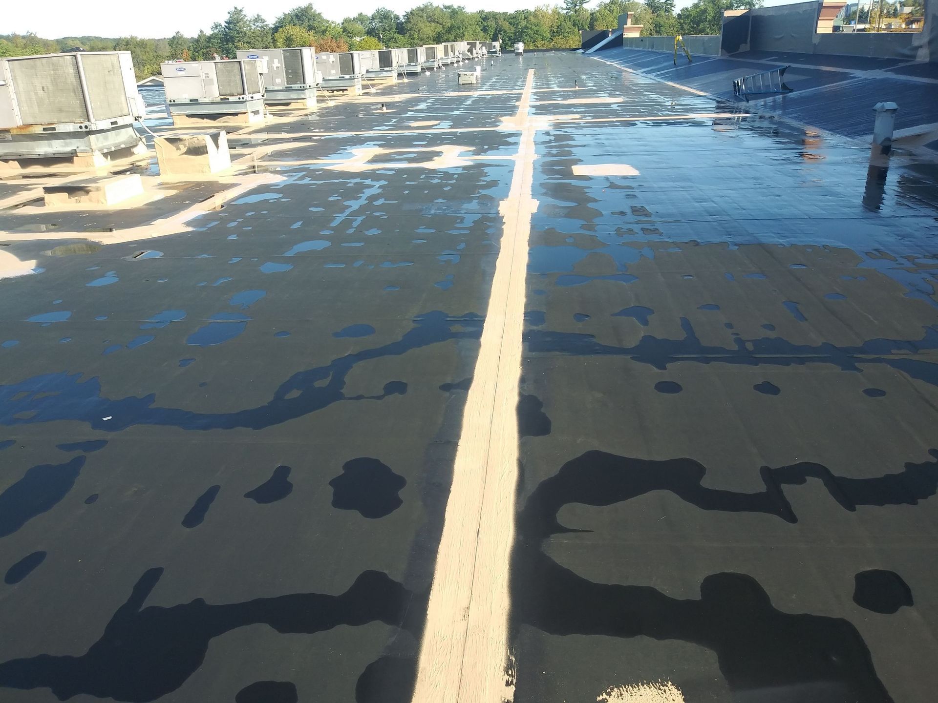 Flat black roof with standing water, bright sunlight reflecting, several vents and equipment.