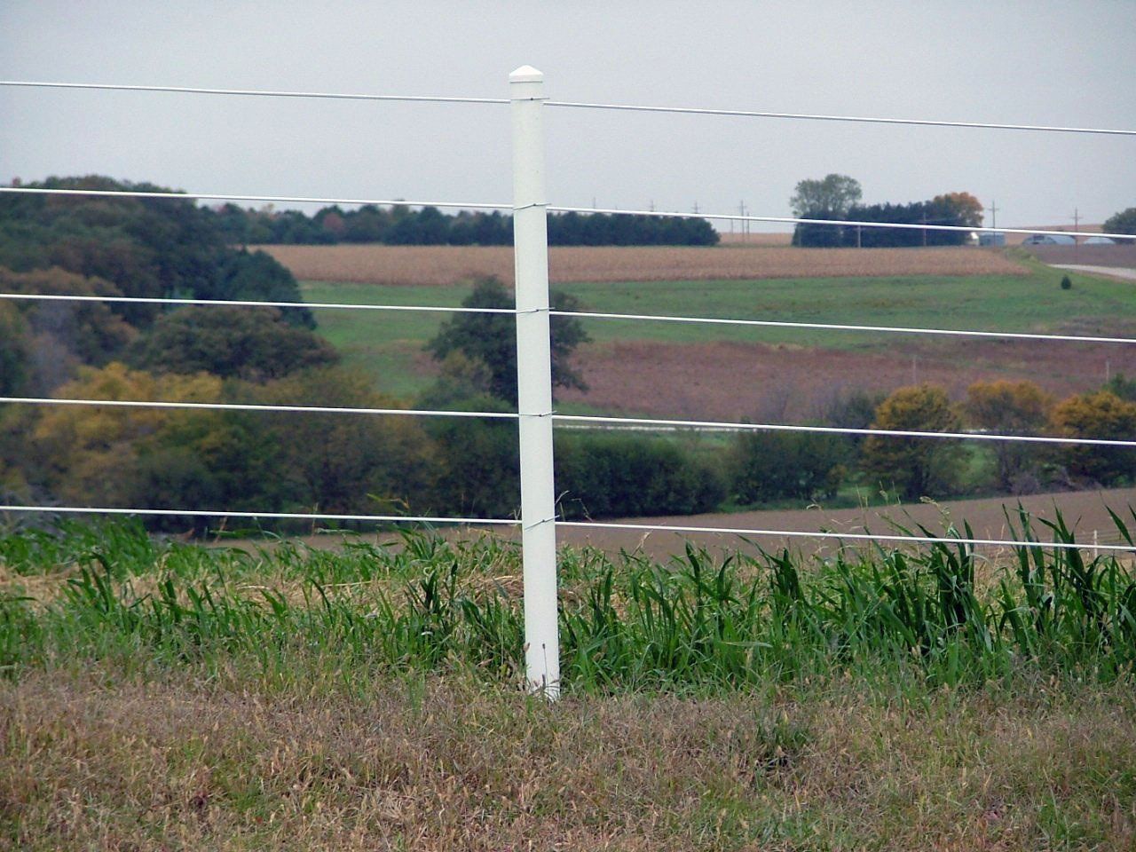Acreage/Farm fence