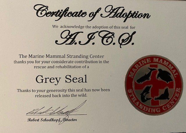 Certificate of adoption Grey Seal