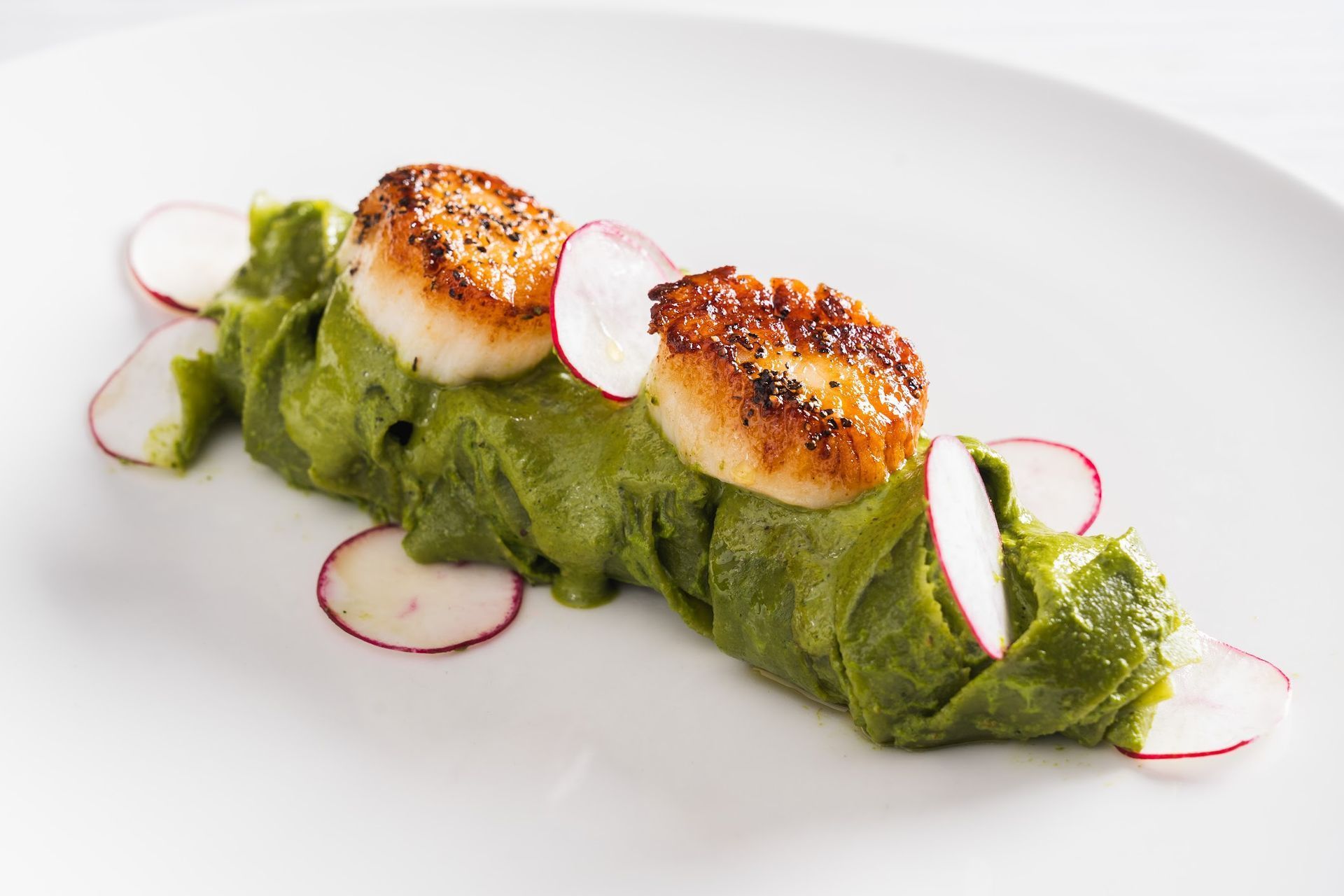 Seared scallops atop green puree, garnished with radish slices on a white plate