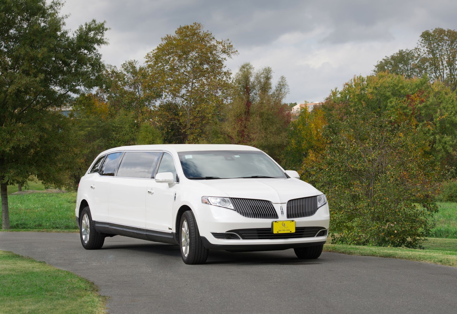 White SUV driving on a winding road beside trees under an overcast sky