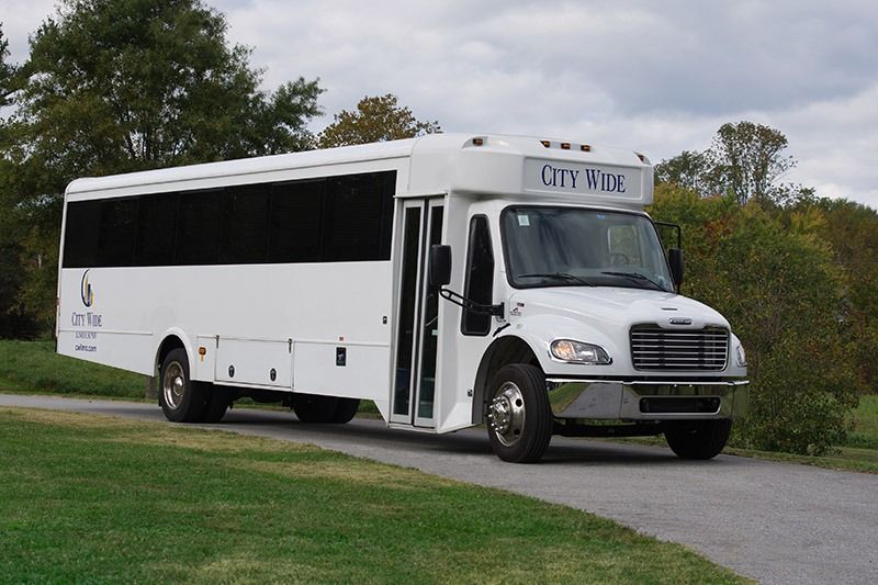 White city bus parked on a road beside grass and trees under an overcast sky
