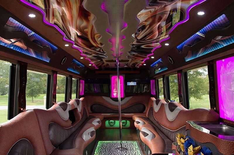 Luxury party bus interior with pink neon lights, plush brown seating, and large windows overlooking greenery