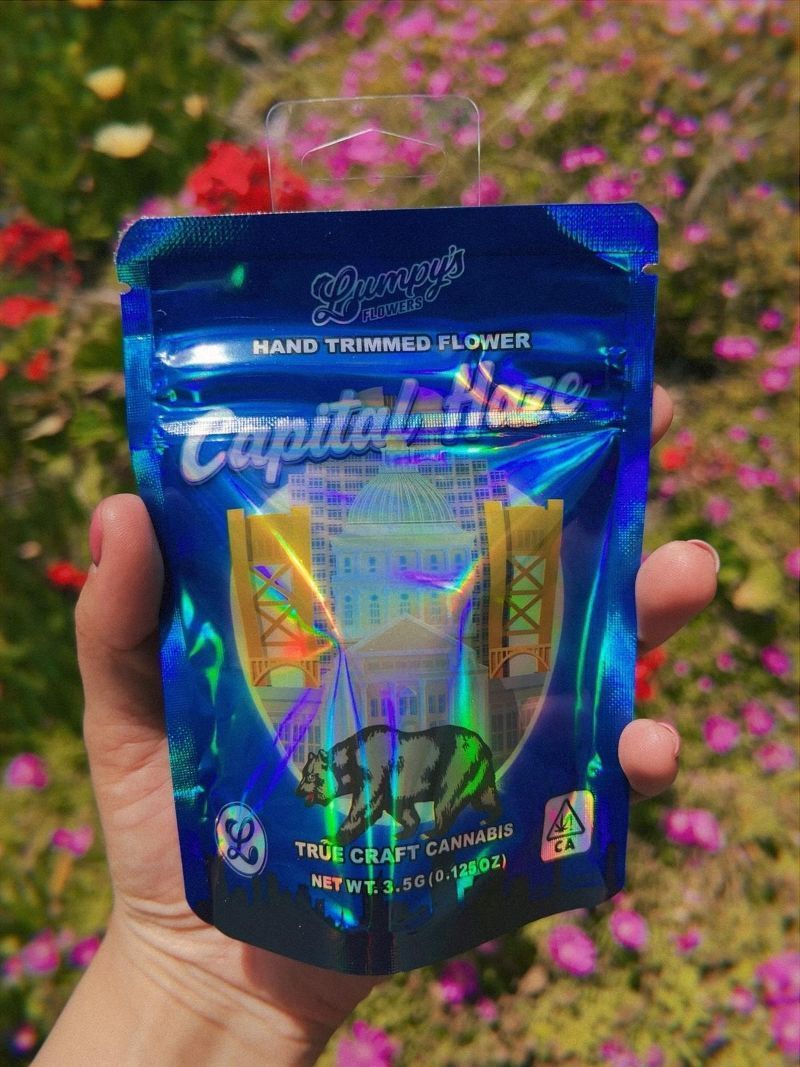 Person holding Capital Haze product