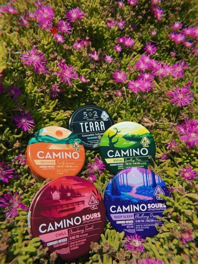 Four cans of camino sours are sitting on top of a lush green field of flowers.