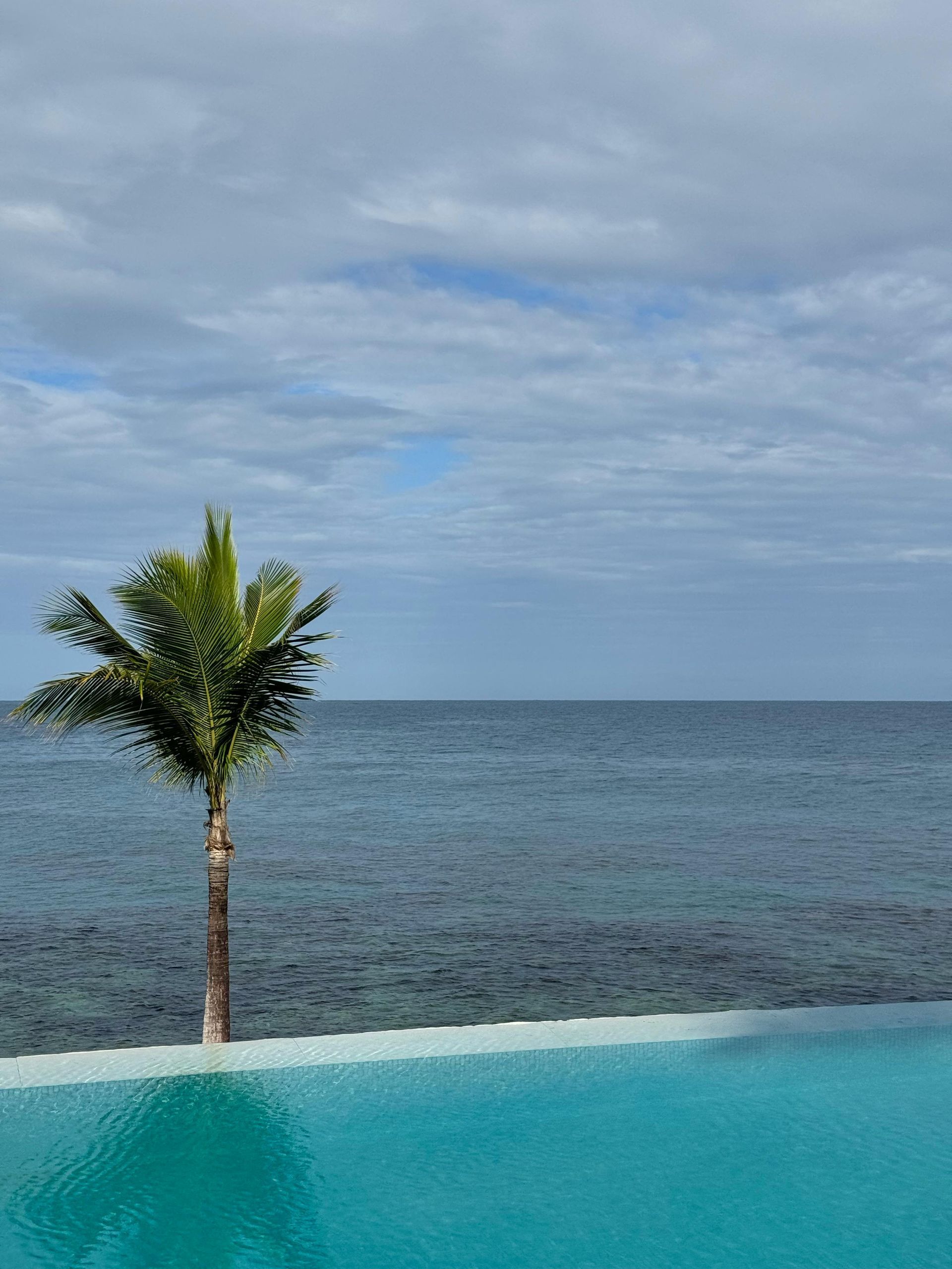 Infinity pool by the ocean under a cloudy sky, with a lone palm tree at the edge.