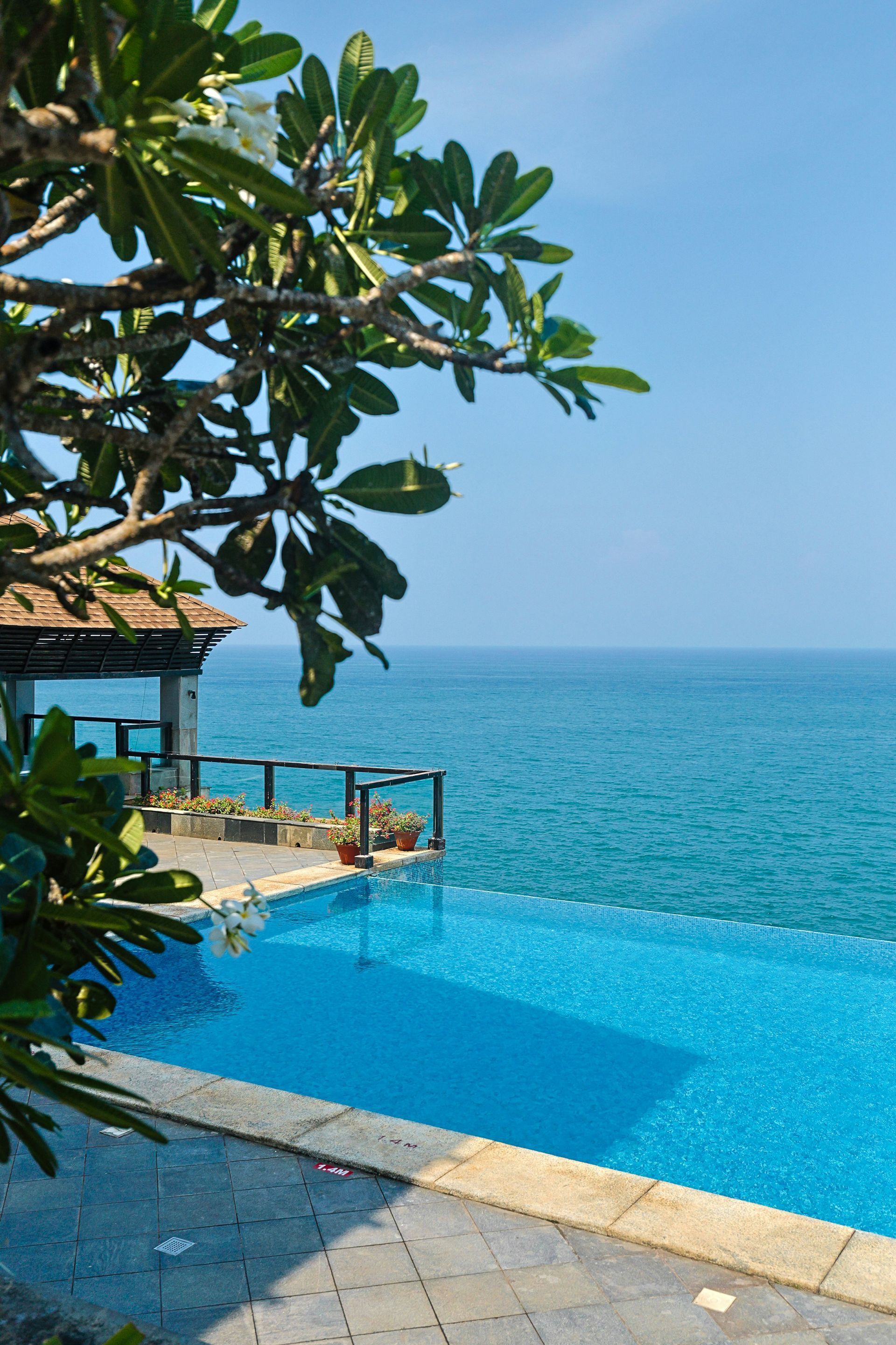 Infinity pool overlooking a turquoise ocean with tropical trees and a shaded patio