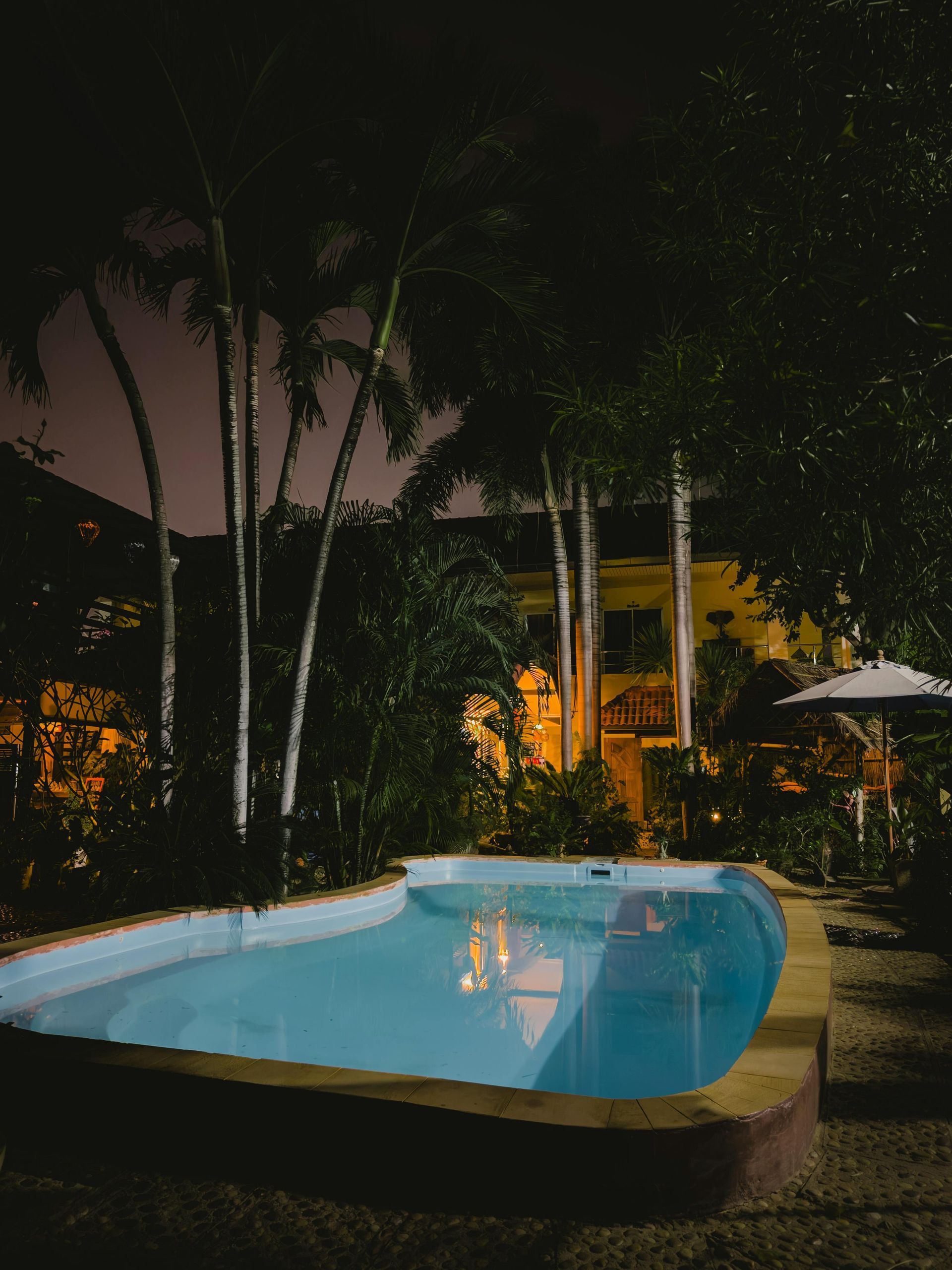 Small lit swimming pool at night, surrounded by trees and tropical plants, with a glowing building in the background