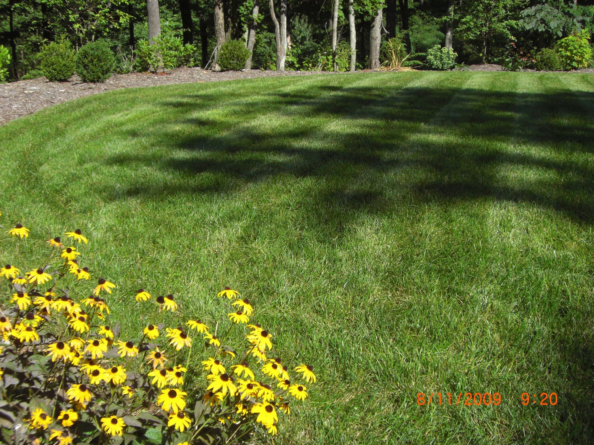 Southern Scapes Inc. Gallery