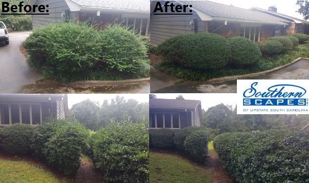 Southern Scapes Inc. Gallery