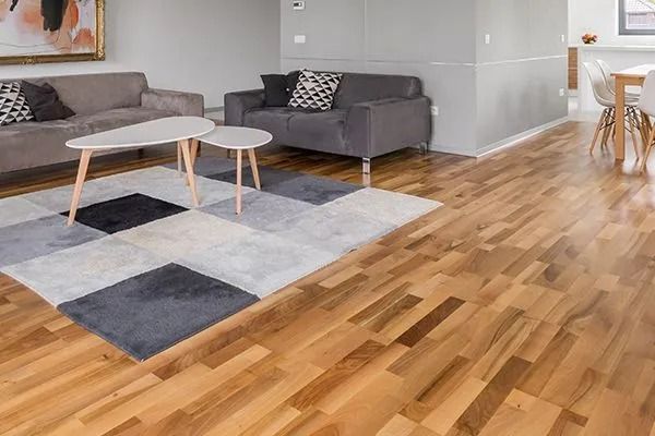 Modern living room with gray sofas, patterned rug, and wooden flooring