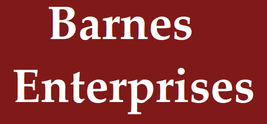 Barnes Enterprises - logo
