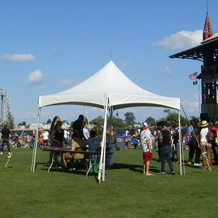 White tent in a grassy field, people gathered around tables, blue sky.