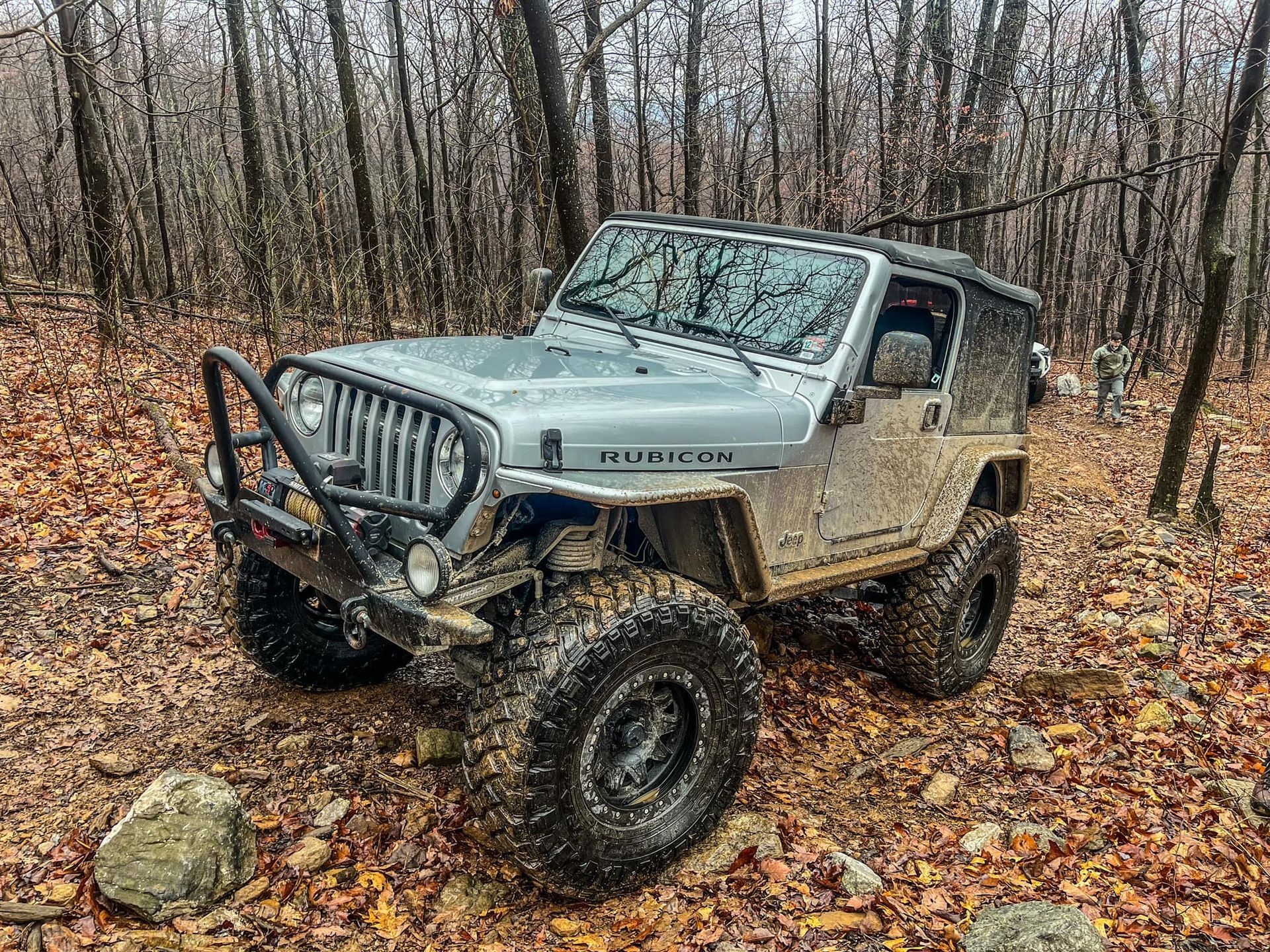 A jeep parked in the middle of a forest covered in leaves