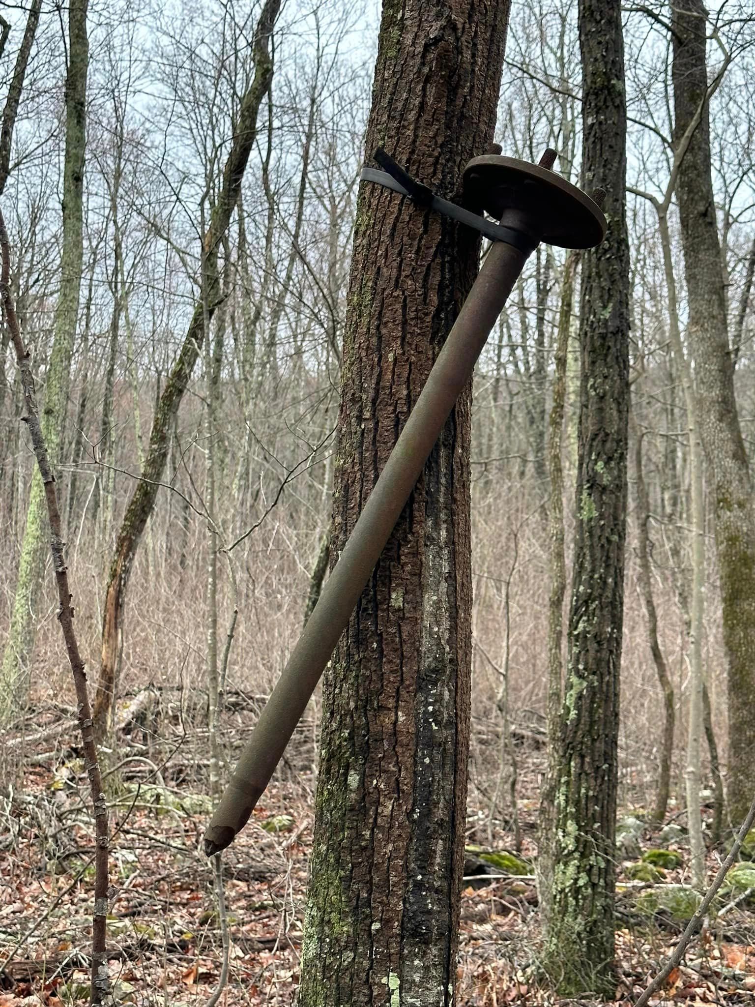 A long stick stuck in a tree in the woods