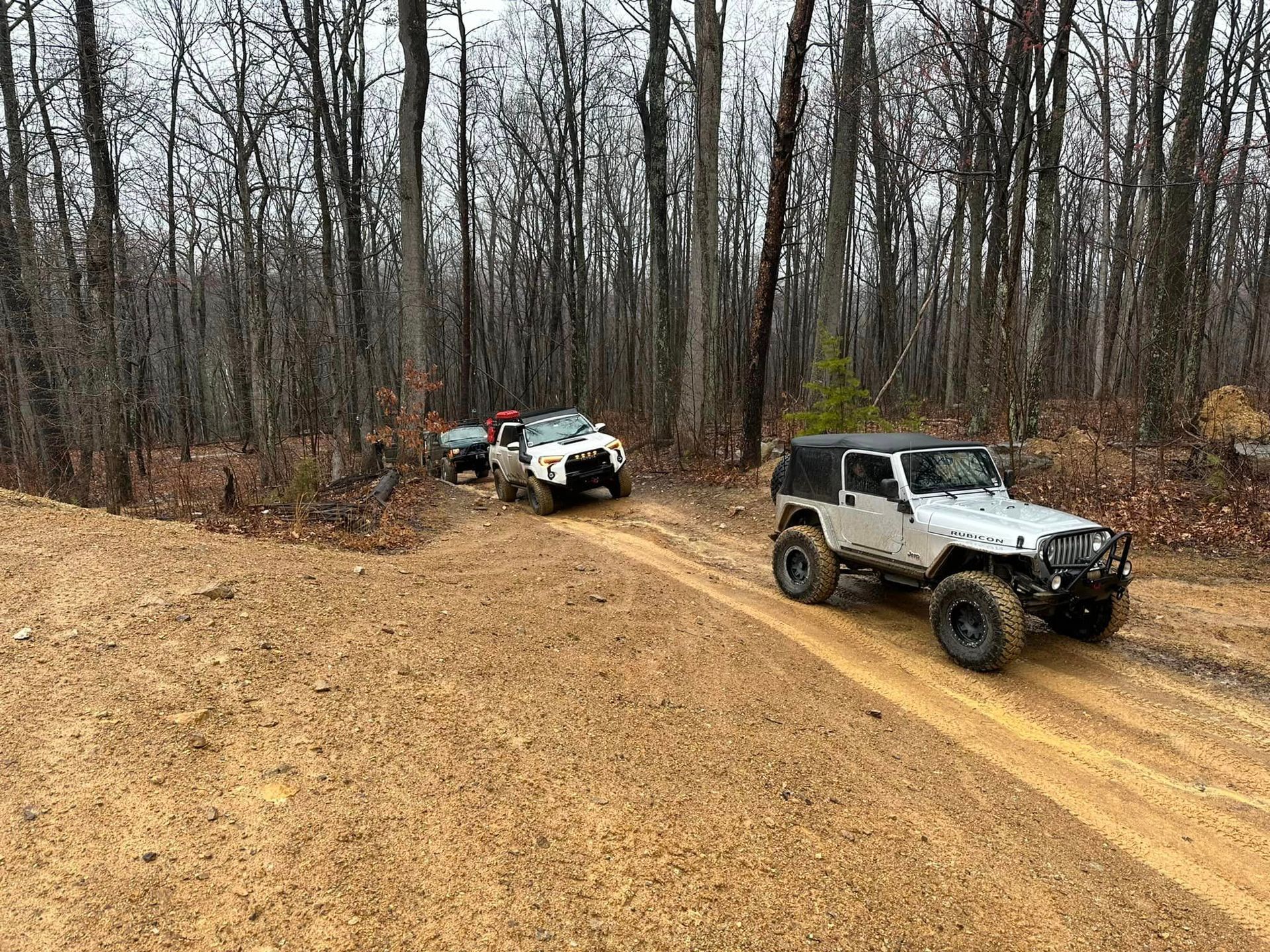 Two jeep driving down a dirt road in the woods