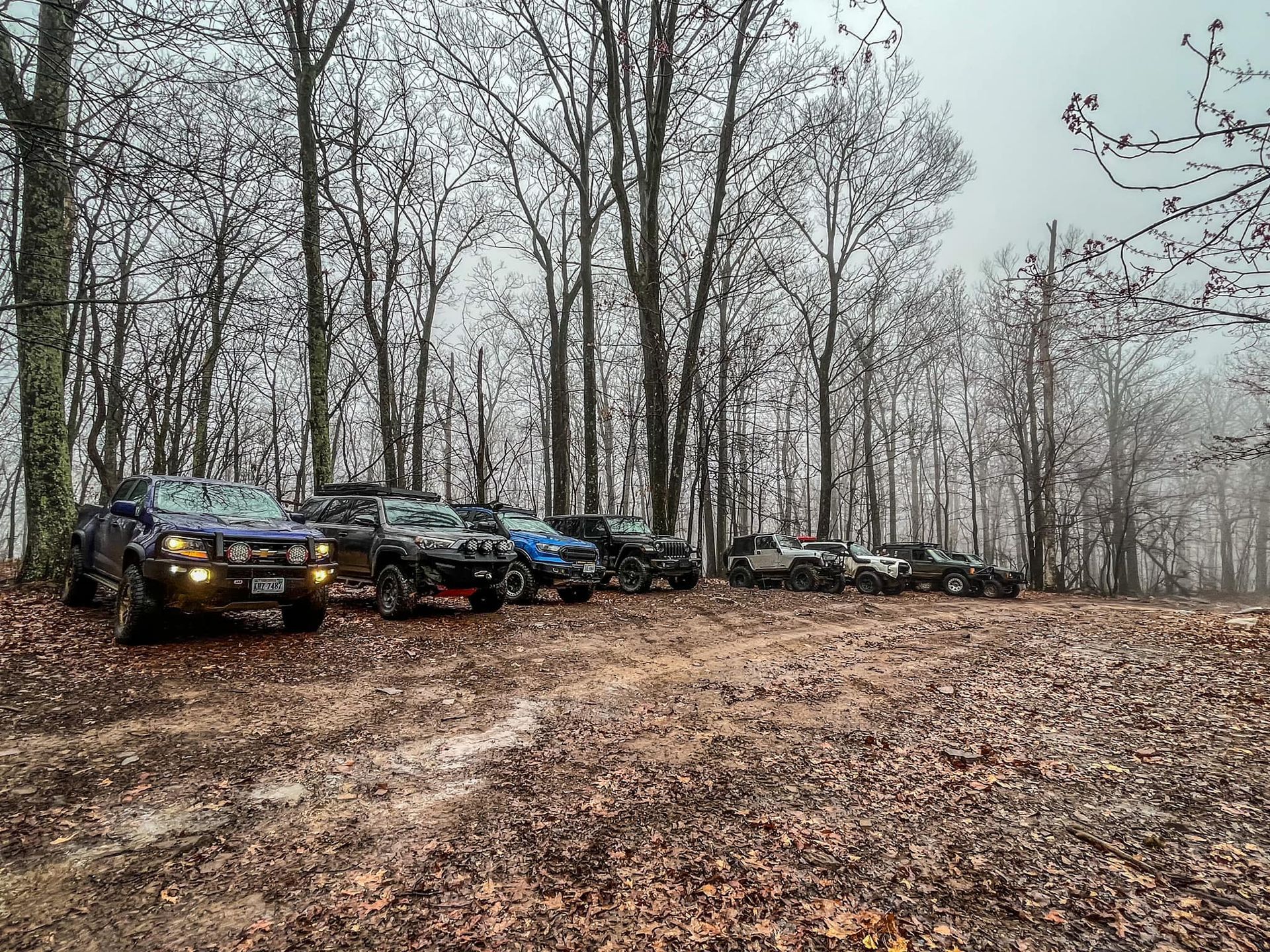 A row of jeep parked in the woods on a foggy day