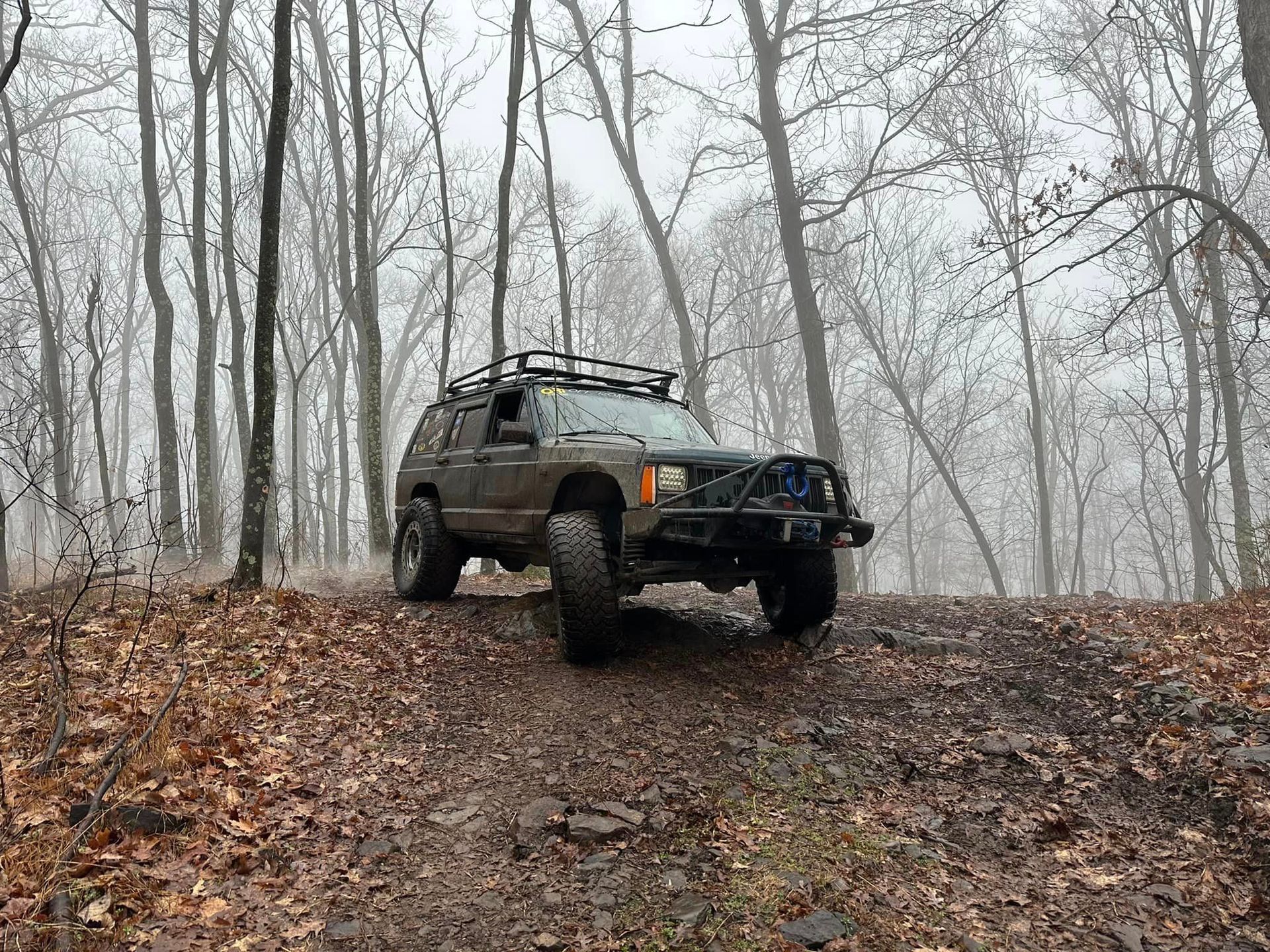 A jeep parked on a dirt road in the woods