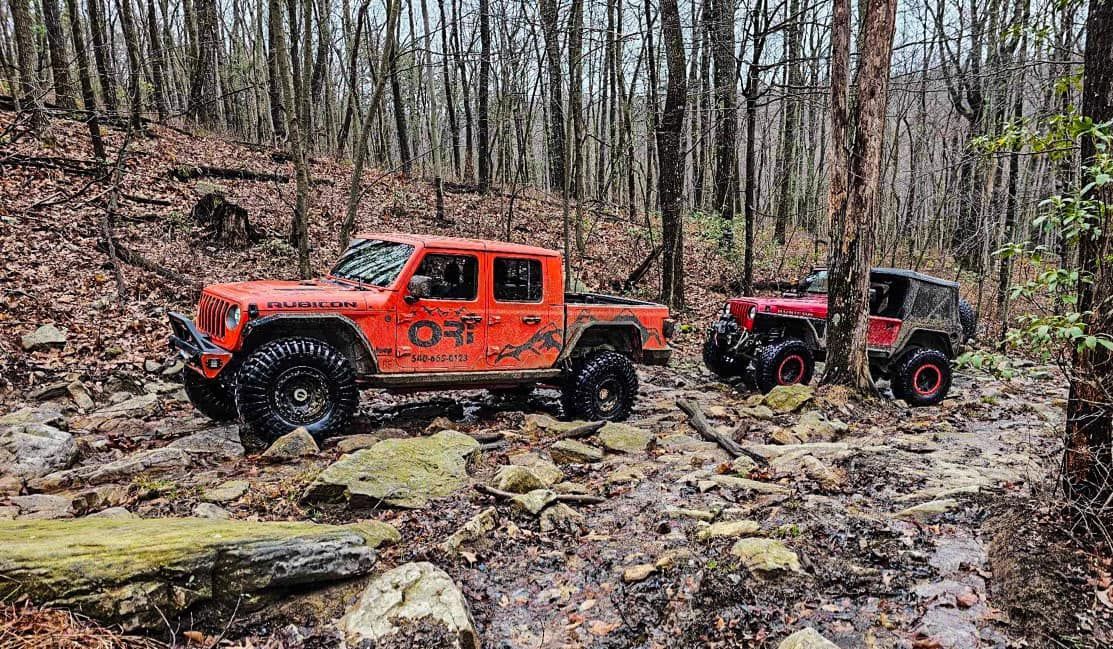 A couple of jeep parked in the woods