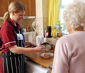 Health Care Companionship Light Housekeeping West Des Moines Ia