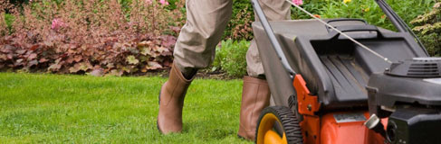 Landscaping  services