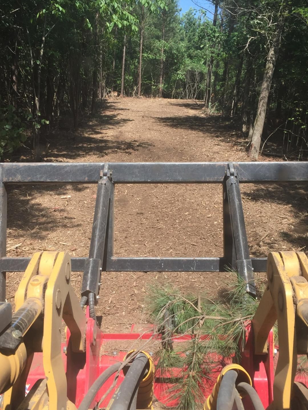 View from a tractor clearing a dirt path in a sunny forest.