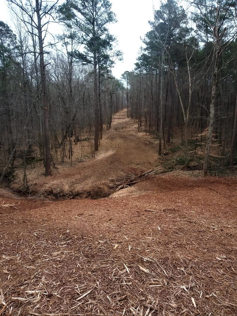 Narrow dirt path through a forest of tall, bare trees; brown fallen leaves cover the ground.