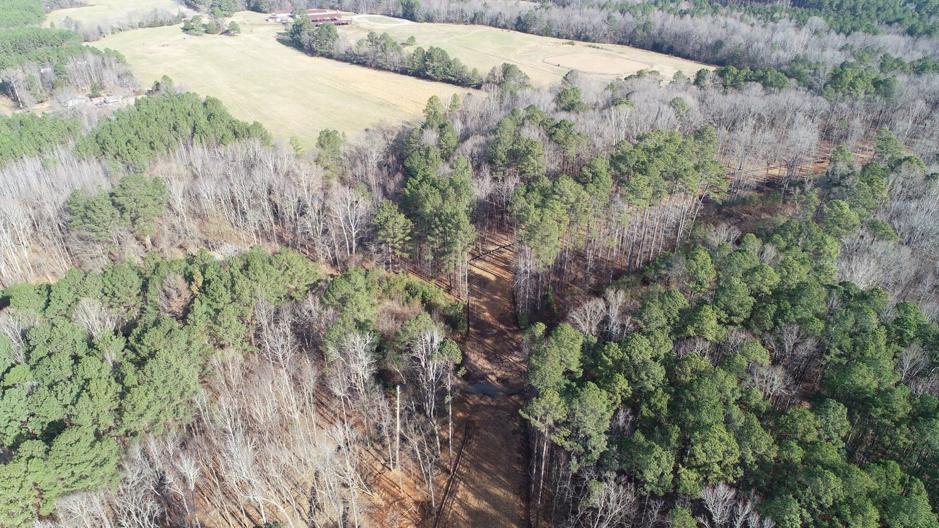 Aerial view of trees and a clearing with power lines.
