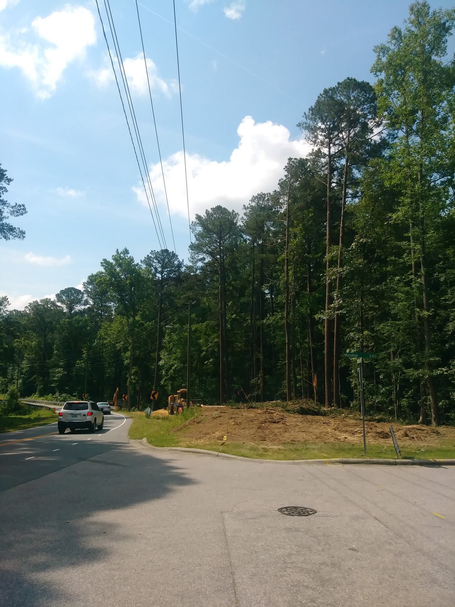 Paved road curves past a clearing with partially cut trees, bordered by a forest under a blue sky.