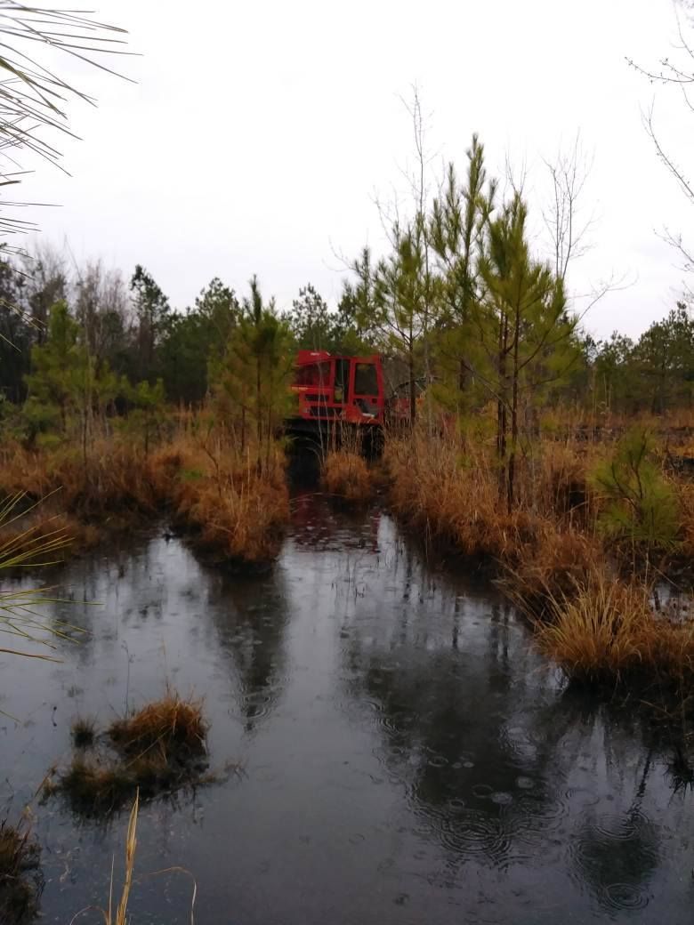 Red vehicle in a swampy area with water, vegetation, and a gray sky.