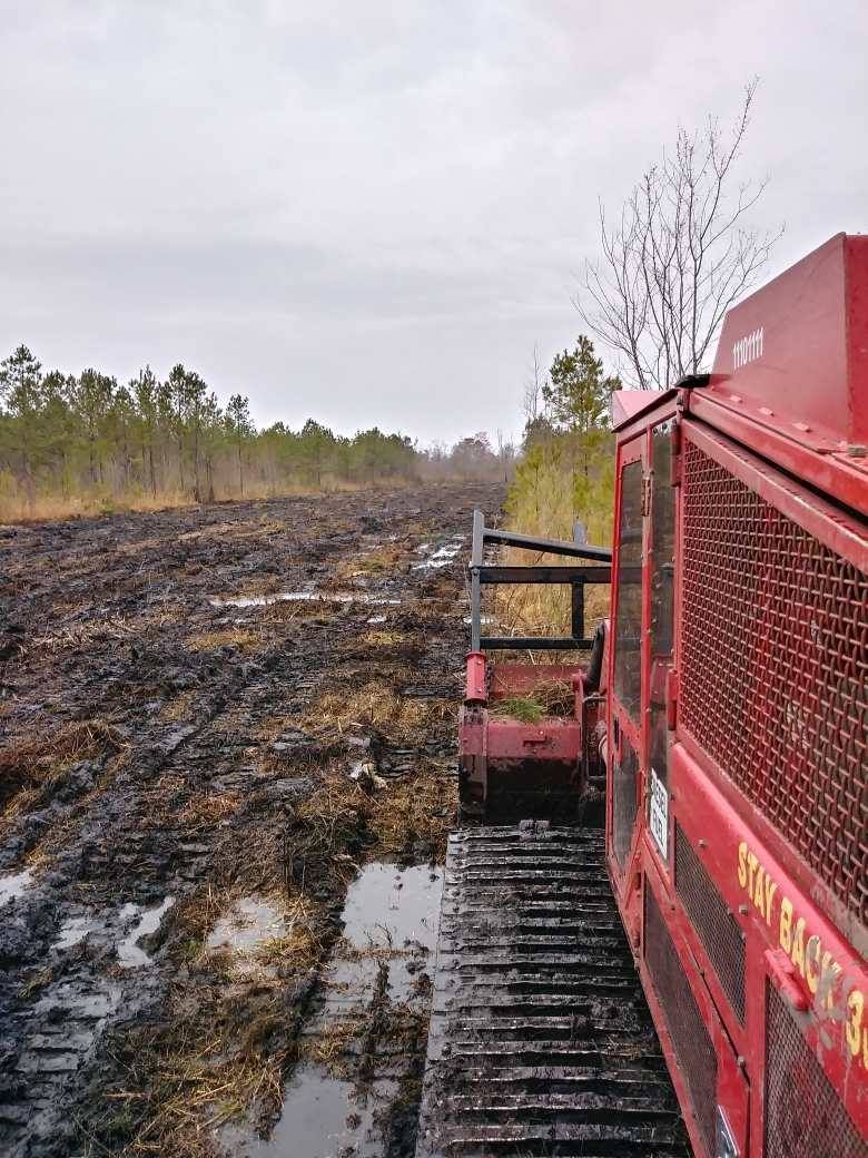Red forestry machine mulching vegetation in a muddy field. Trees line the horizon.