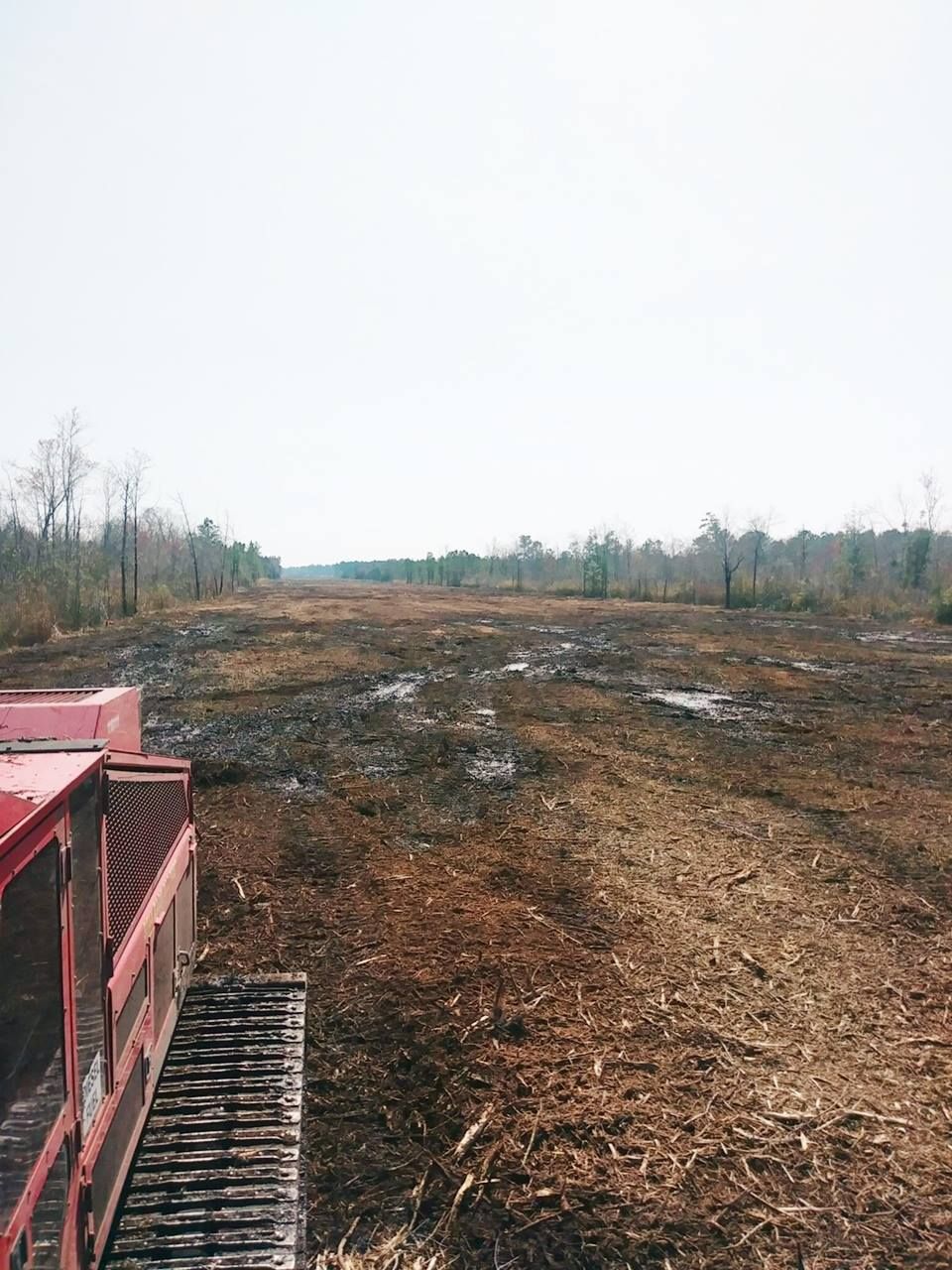 A red forestry mulcher in a field of wood chips, clearing land.