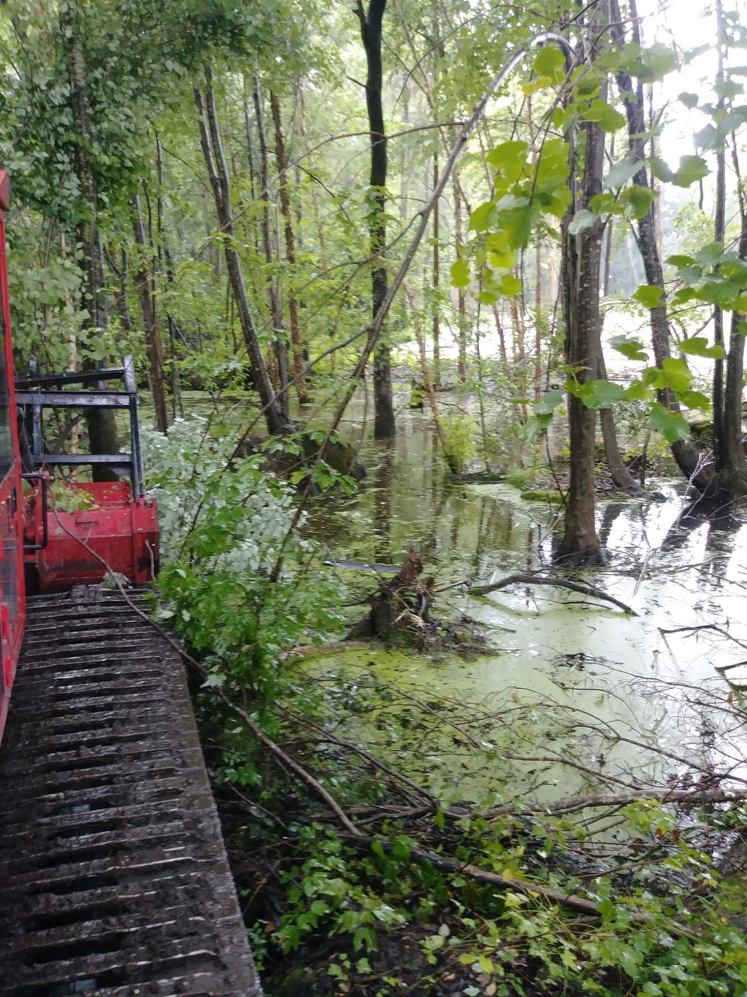 Red machine clearing vegetation from a flooded area with trees and green plants.