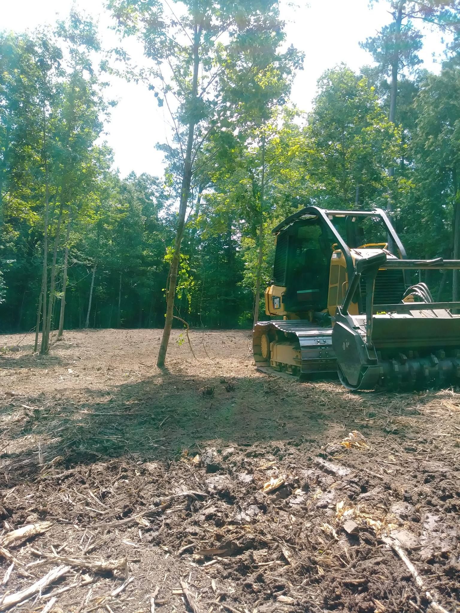 A small yellow bulldozer clearing a wooded area; dirt and young trees in a sunny setting.
