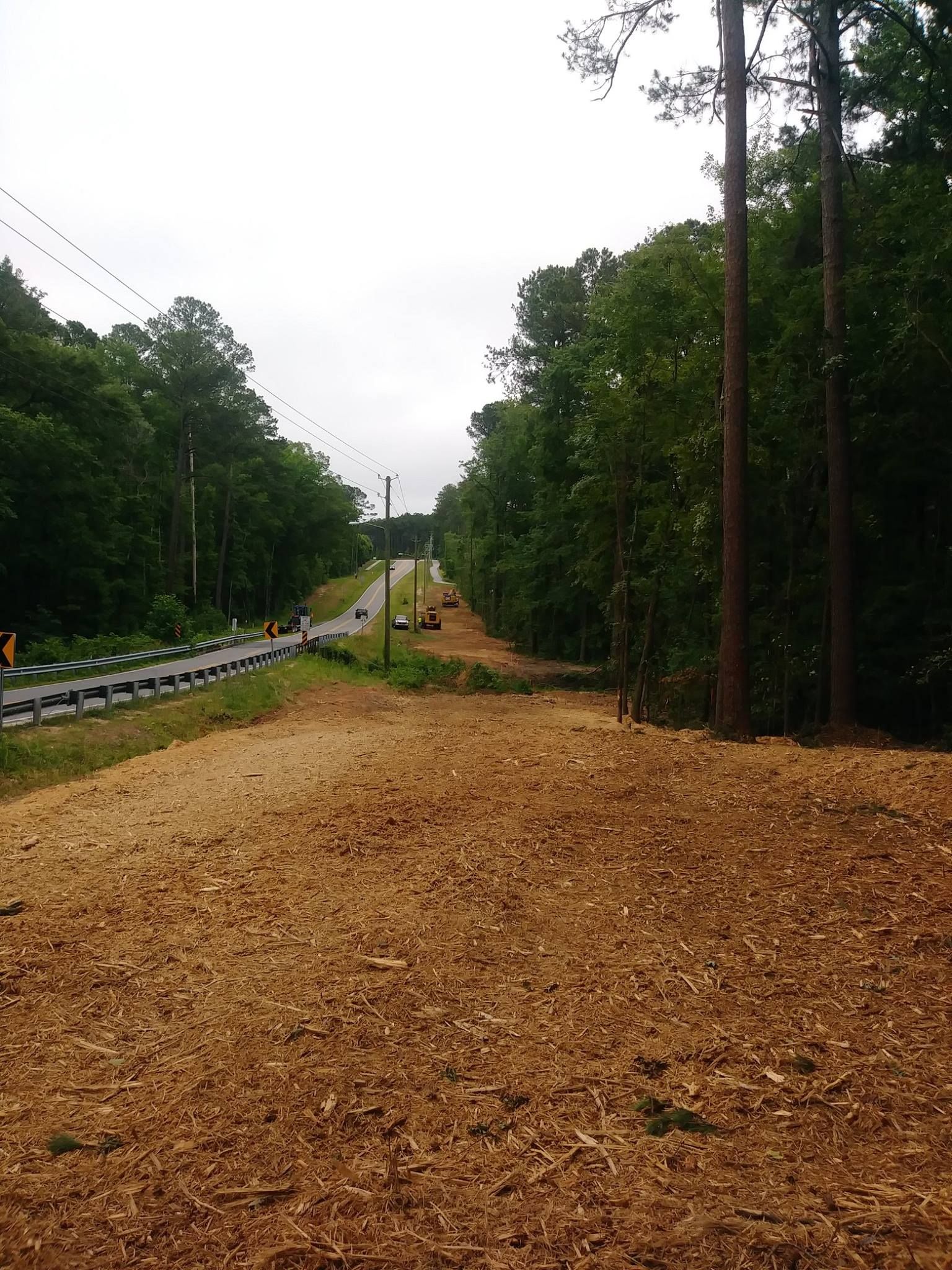 Road lined with trees, a clear path cleared of trees with wood chips on the right and a guard rail on the left.