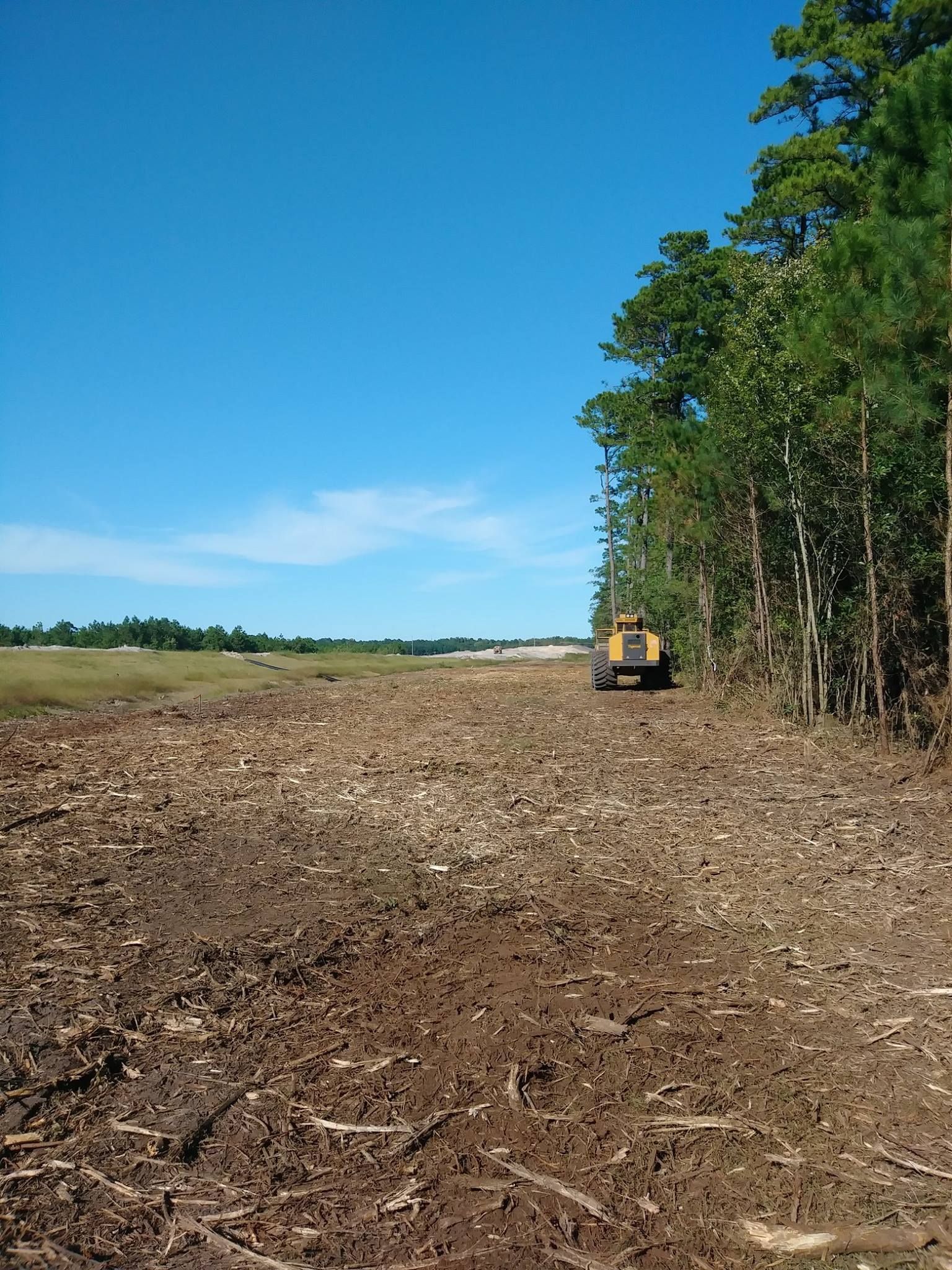 Clearing of land for development; excavator in muddy area next to a forest under a clear blue sky.