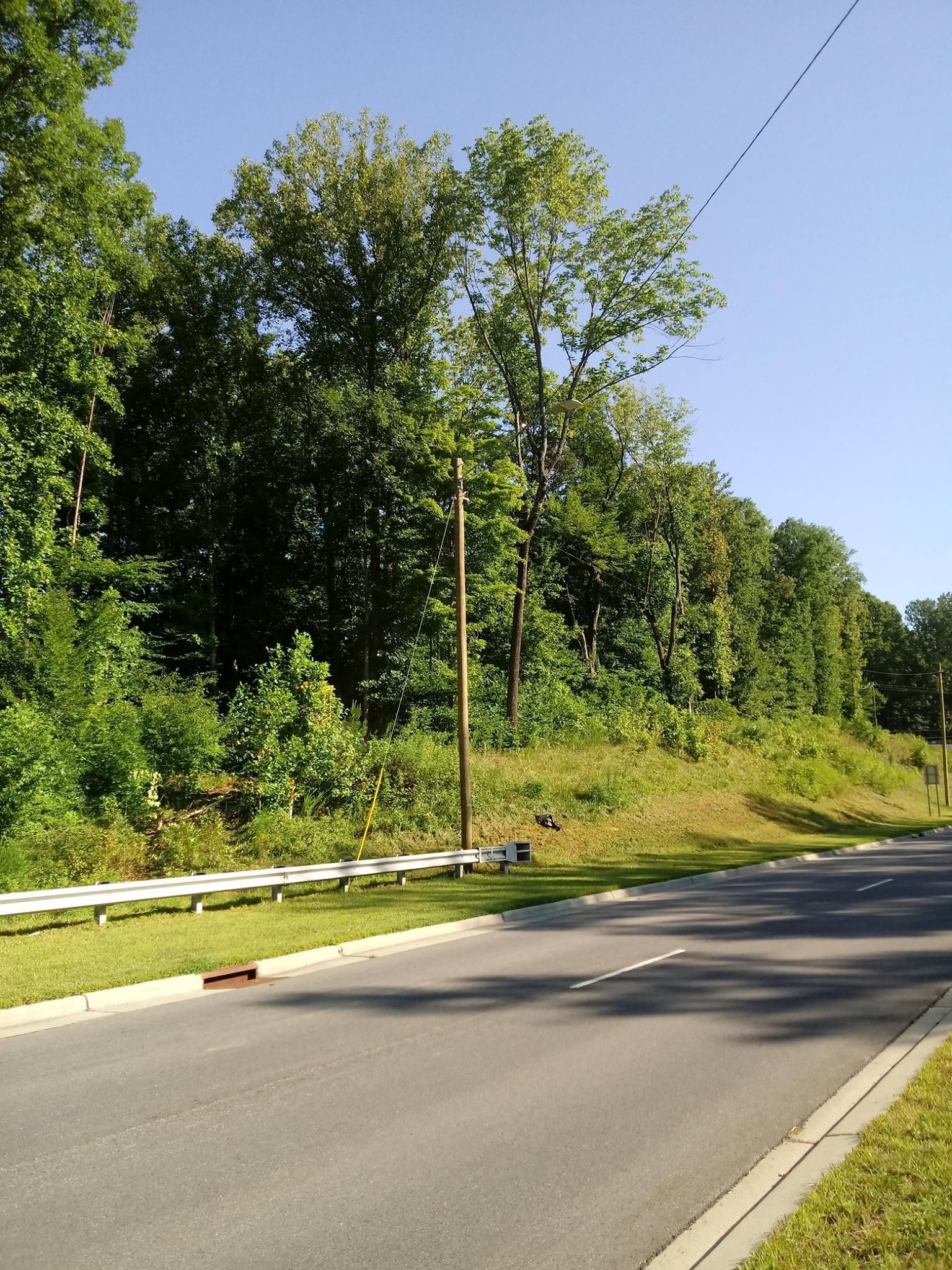 Road next to a grassy bank, metal guardrail, and treeline under a blue sky.