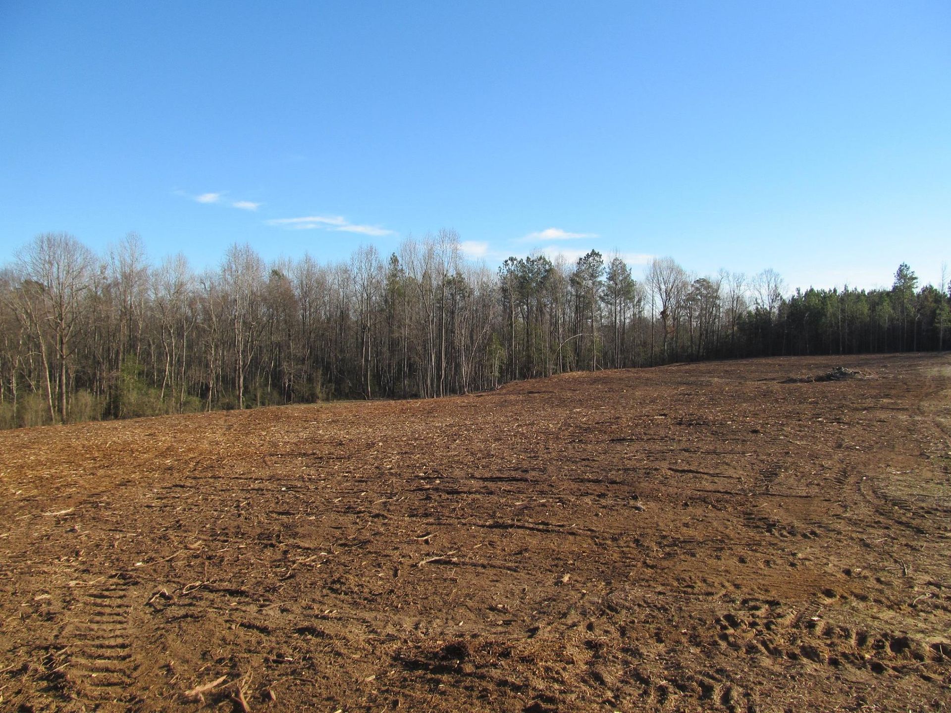 Cleared field with brown soil and tire tracks, backed by a line of bare trees under a blue sky.