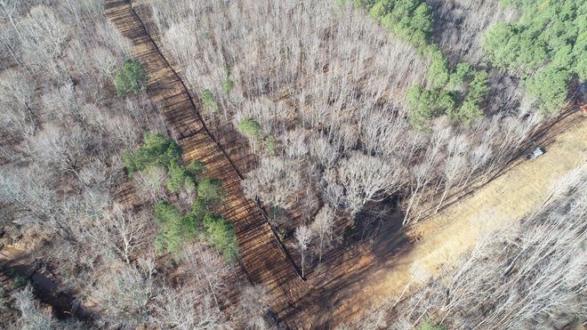 Aerial view of a cleared path through a forest, with a mix of bare and green trees.