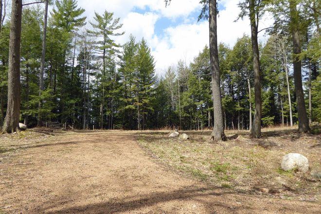Dirt clearing in a forest; trees line the background with blue sky and clouds peeking through.