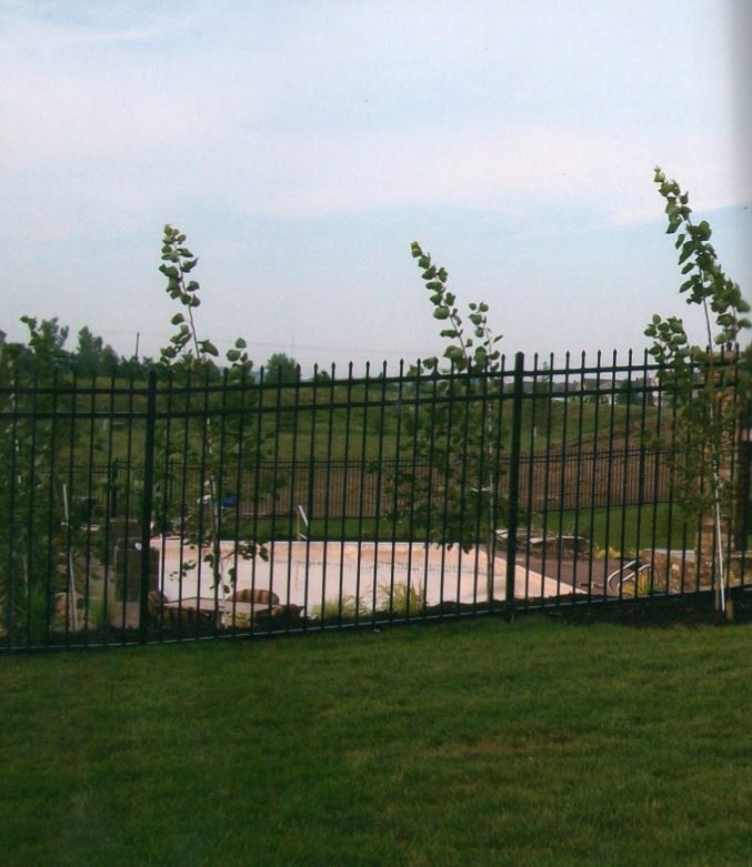 Black metal fence in front of a yard and a potential pool area, with trees and a green lawn.