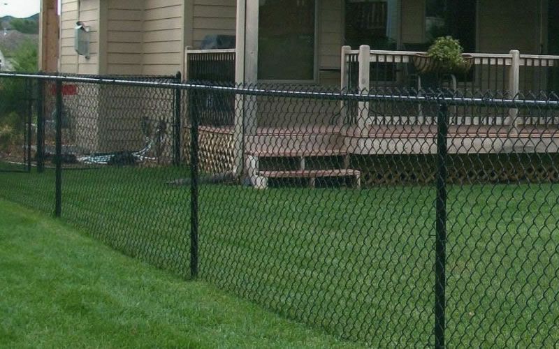 Black chain-link fence in green yard, with house and deck in background.