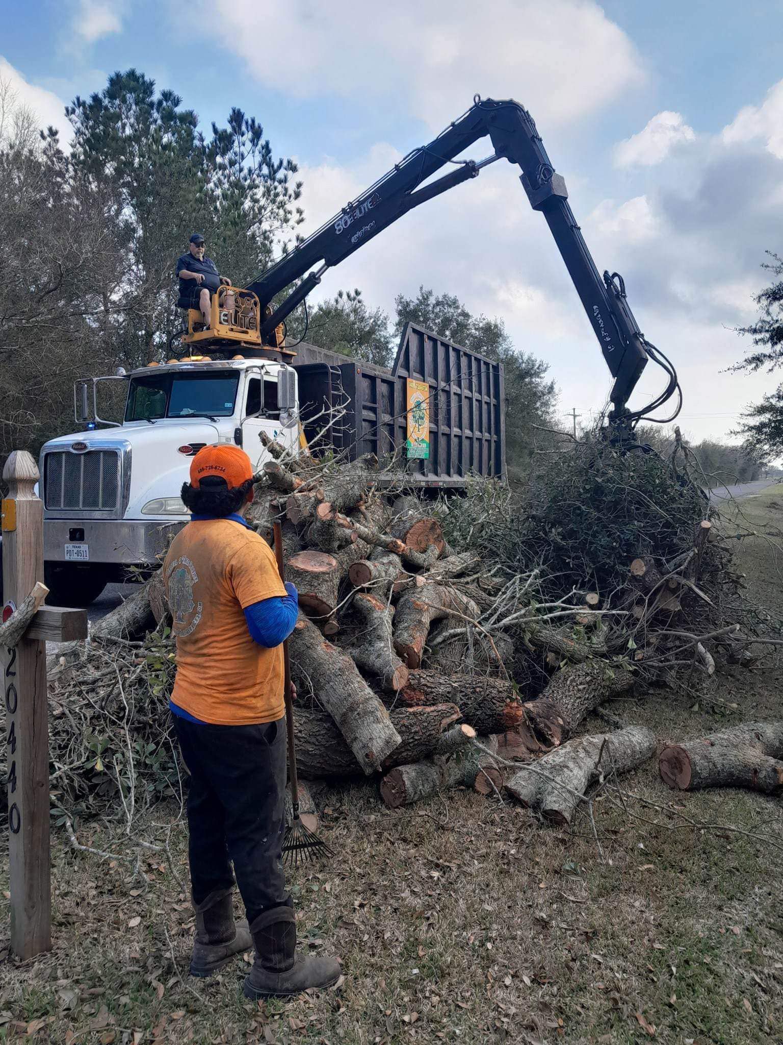 Tree service