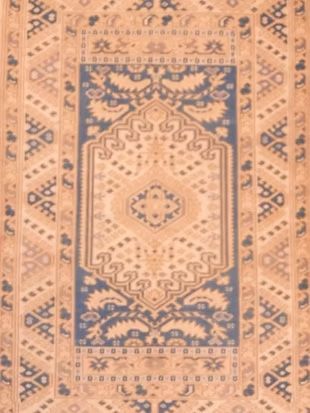 A rug with a floral pattern and a blue border